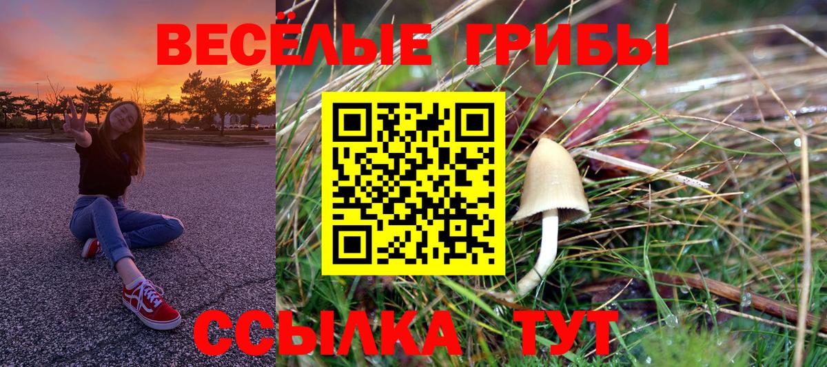 Галлюциногенные грибы прущие грибы Ипатово