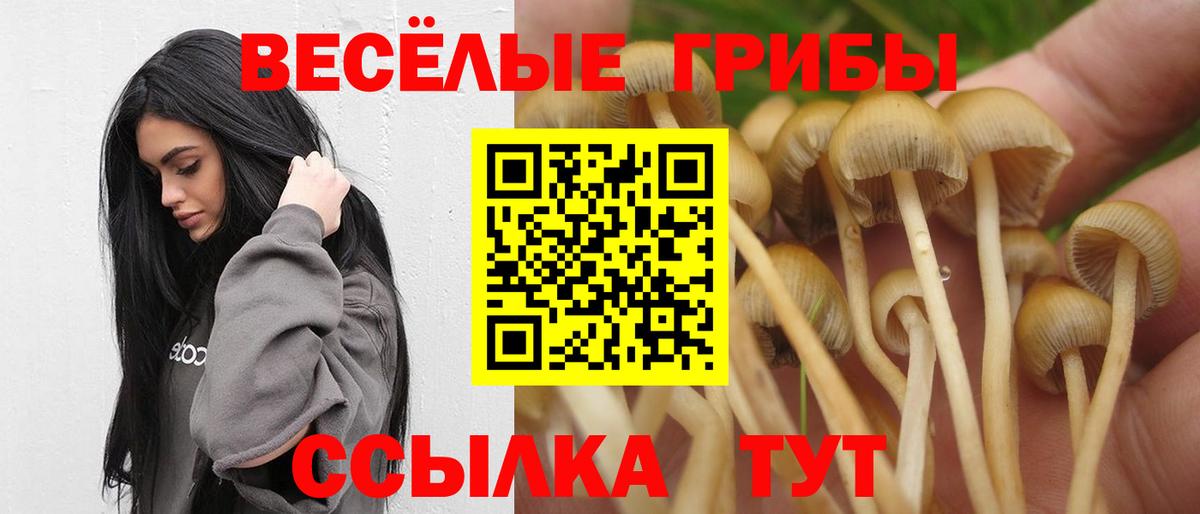 Ипатово  Псилоцибиновые грибы MAGIC MUSHROOMS  Галлюциногенные грибы Cubensis  Вход с VPN 